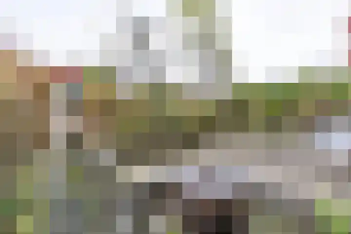 Henk Plenterlaan 52 Groningen thumbnail 23