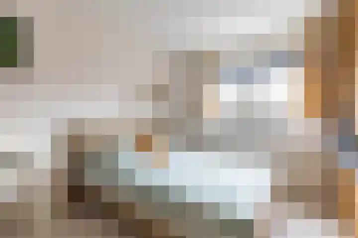 Henk Plenterlaan 52 Groningen thumbnail 28