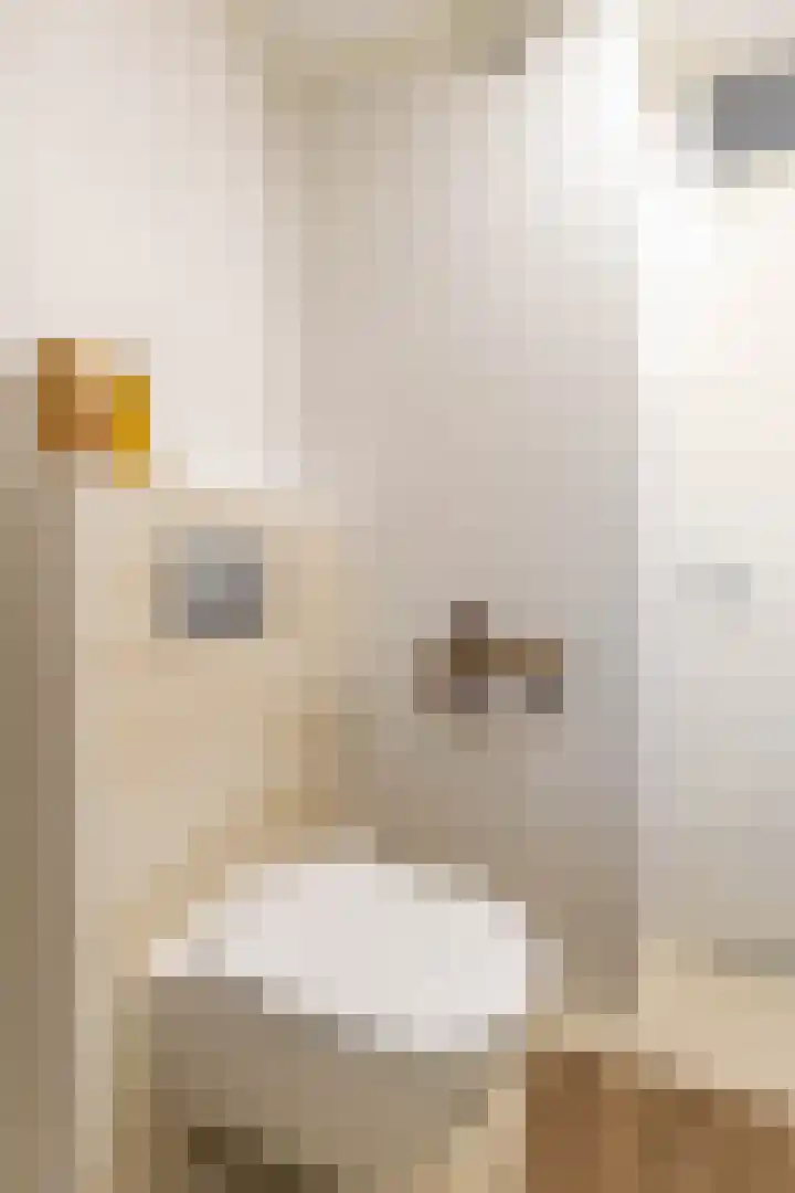 Henk Plenterlaan 52 Groningen thumbnail 33