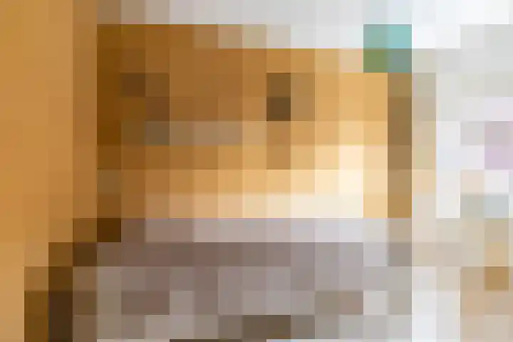 Henk Plenterlaan 52 Groningen thumbnail 34