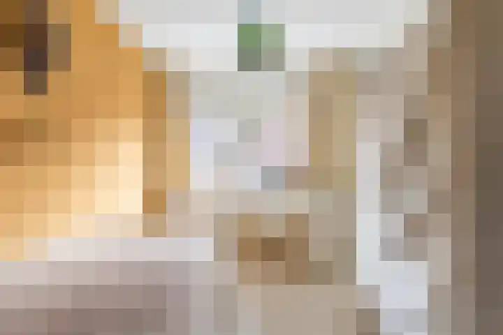 Henk Plenterlaan 52 Groningen thumbnail 35