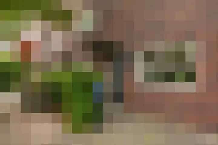 Henk Plenterlaan 58 Groningen thumbnail 10