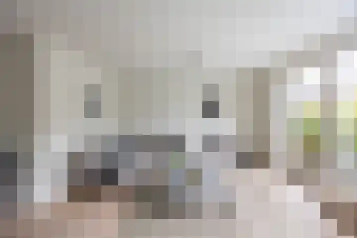 Henk Plenterlaan 58 Groningen thumbnail 15