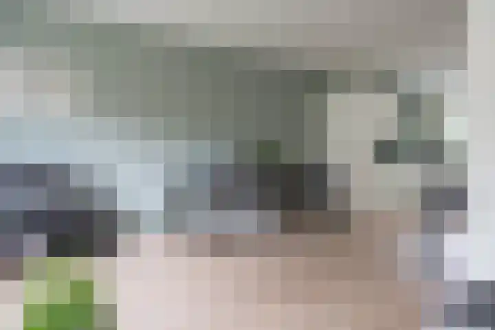 Henk Plenterlaan 58 Groningen thumbnail 18