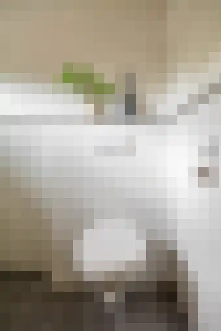 Henk Plenterlaan 58 Groningen thumbnail 28