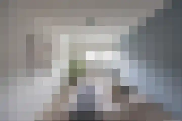 Henk Plenterlaan 58 Groningen thumbnail 31