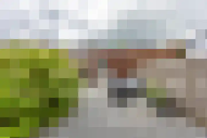 Henk Plenterlaan 58 Groningen thumbnail 39