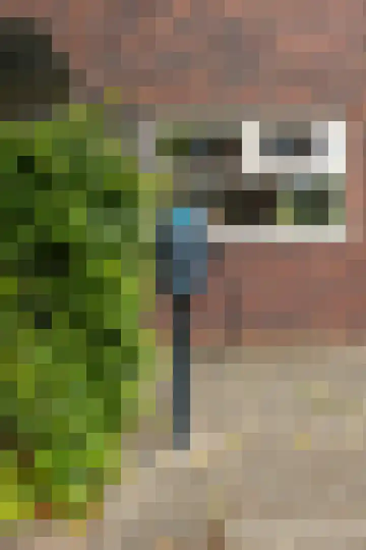 Henk Plenterlaan 58 Groningen thumbnail 9