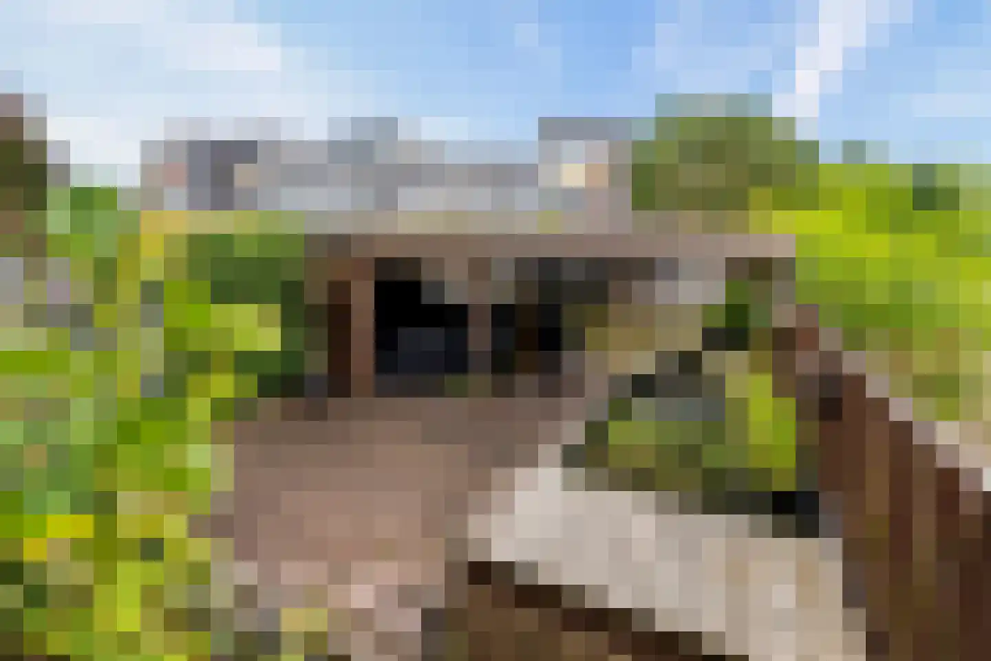 Henk Sprengerweg 72 Almere thumbnail 44