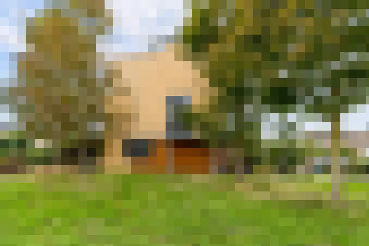 Henk Sprengerweg 72 Almere thumbnail 54
