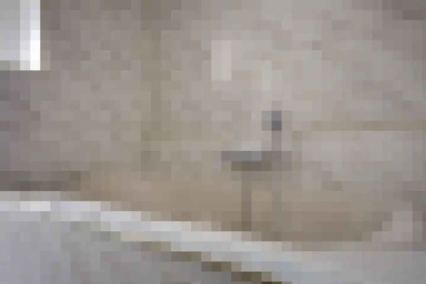 Henk van den Broeklaan 13 Eindhoven thumbnail 40