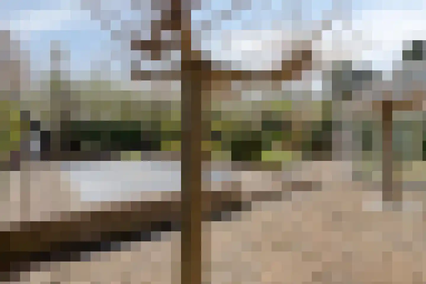 Henk van den Broeklaan 13 Eindhoven thumbnail 56
