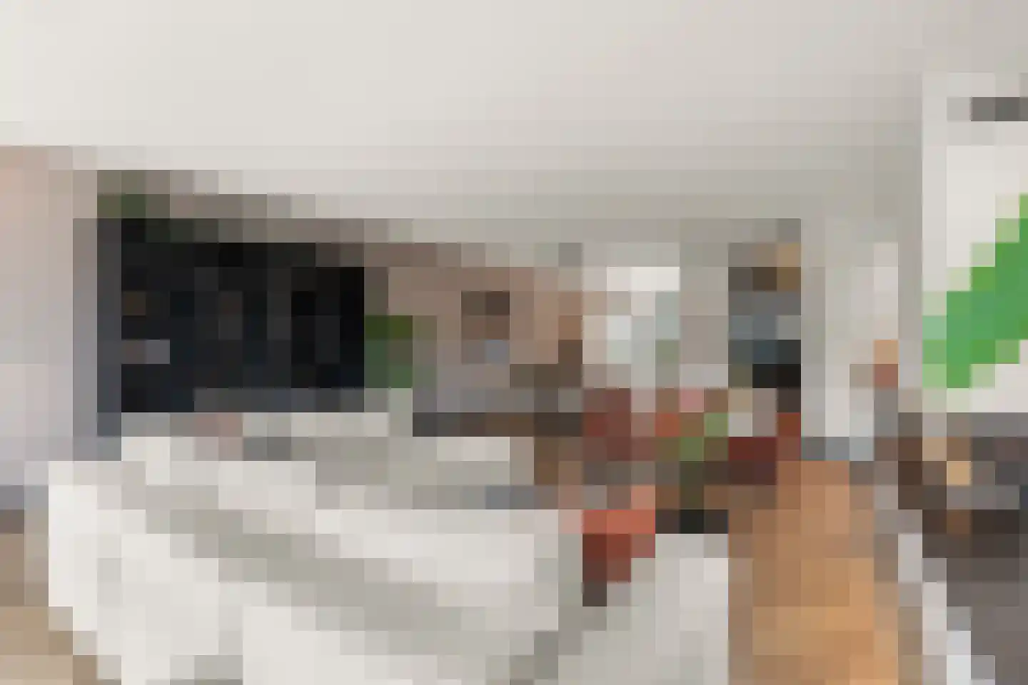 Henk van Tienhovenstraat 12 Nijmegen thumbnail 14