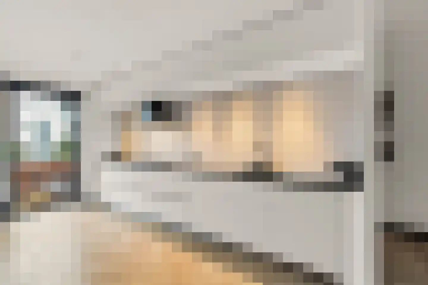 Henk van Tienhovenstraat 12 Nijmegen thumbnail 19