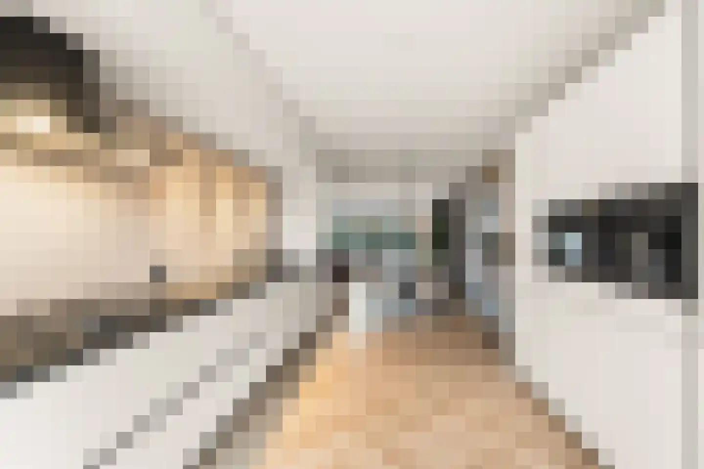 Henk van Tienhovenstraat 12 Nijmegen thumbnail 21
