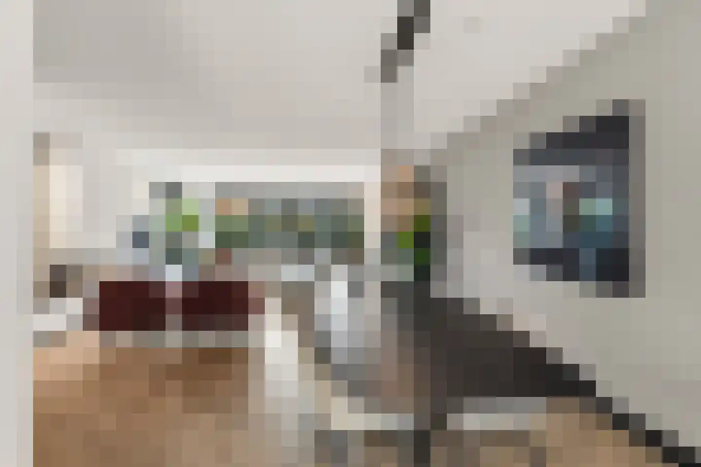 Henk van Tienhovenstraat 12 Nijmegen thumbnail 24