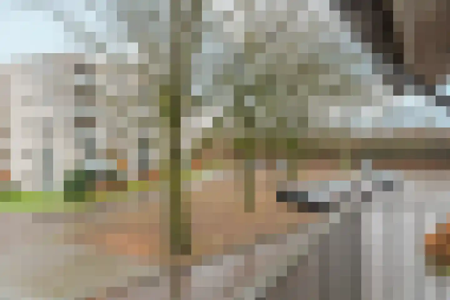 Henk van Tienhovenstraat 12 Nijmegen thumbnail 31