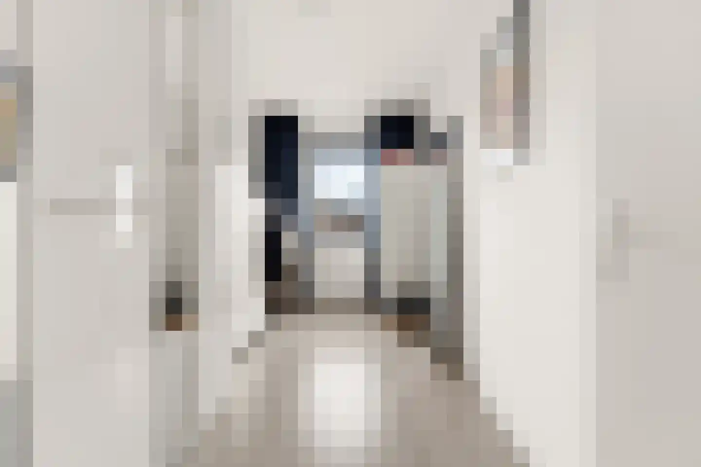Henk van Tienhovenstraat 12 Nijmegen thumbnail 33
