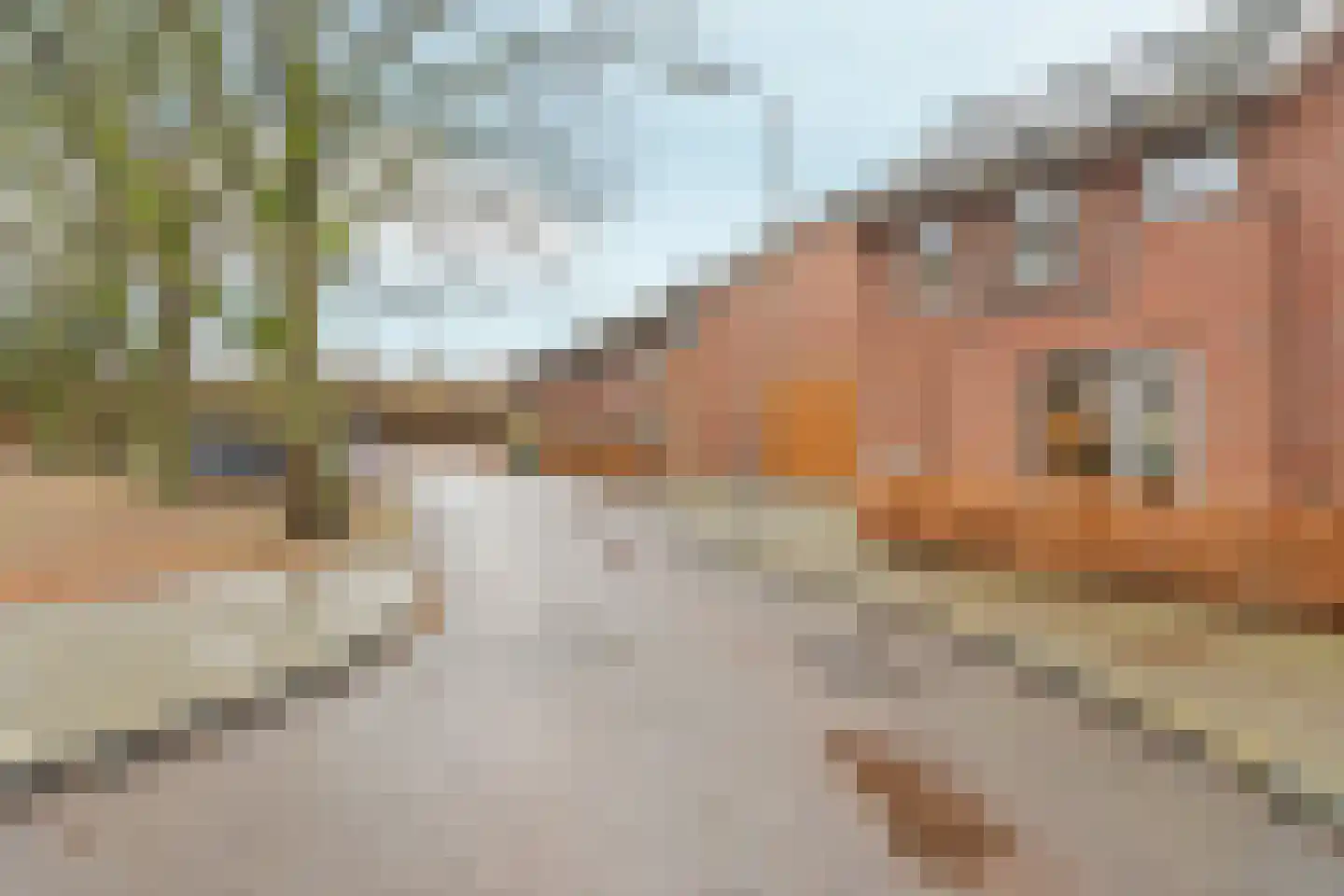 Henk van Tienhovenstraat 12 Nijmegen thumbnail 57