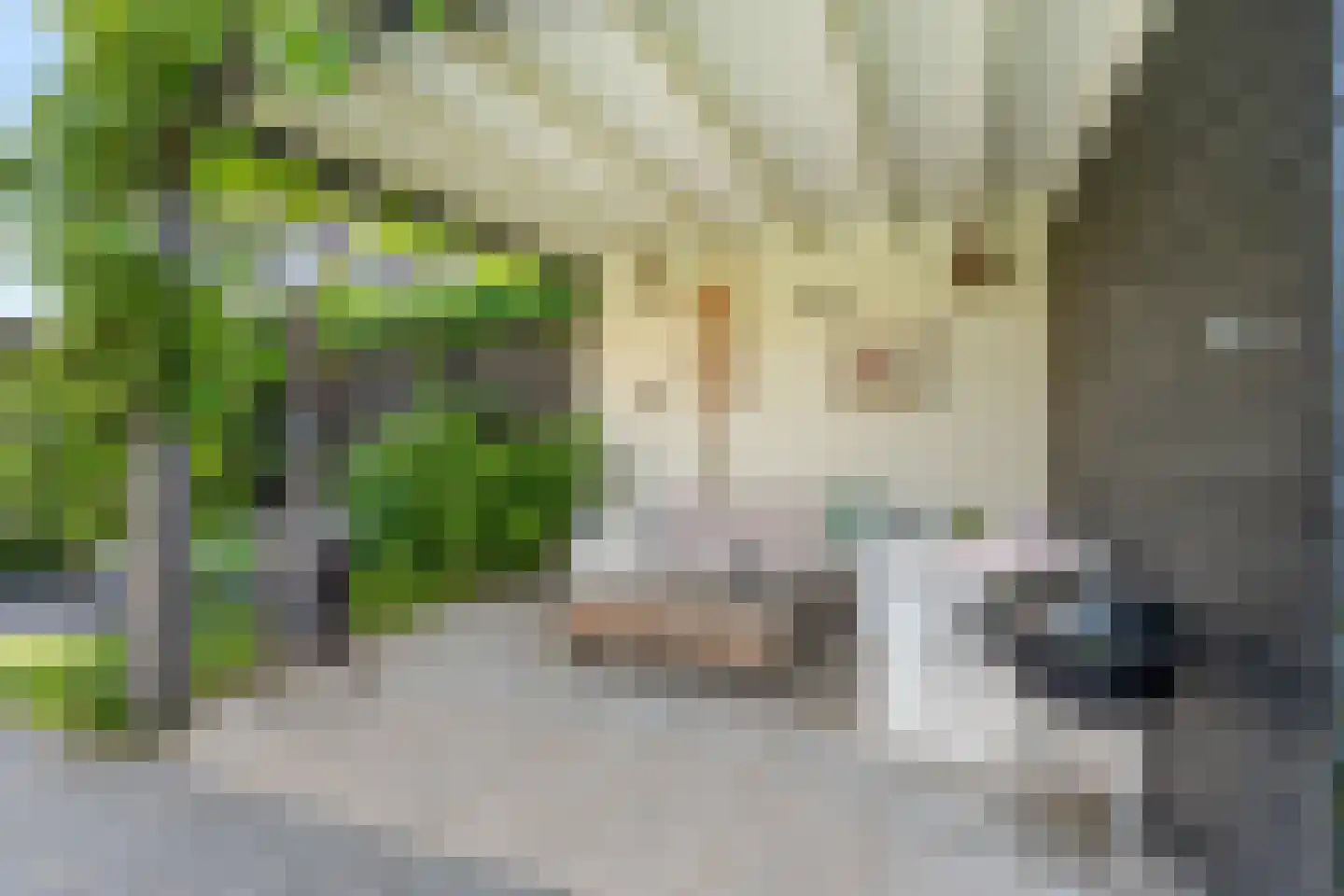 Henk Wildenburglaan 13 Ede thumbnail 41