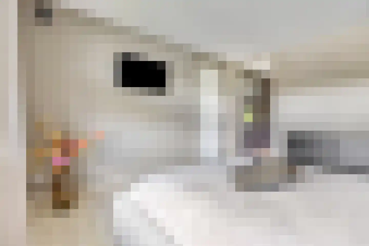 Henk Wildenburglaan 16 Ede thumbnail 25