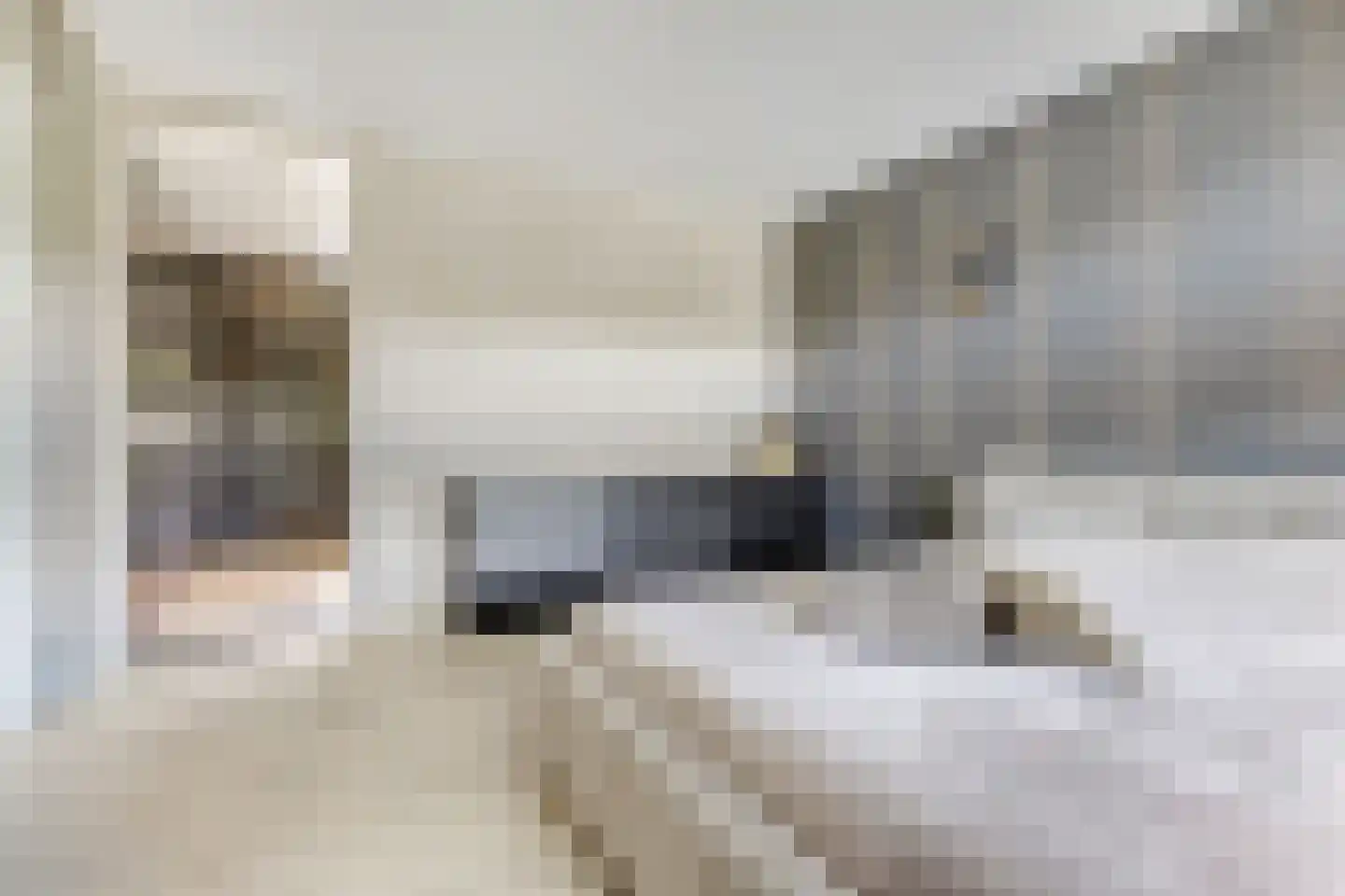 Henk Wildenburglaan 16 Ede thumbnail 26