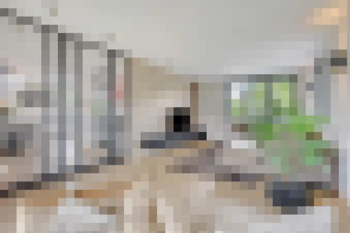 Henk Wildenburglaan 16 Ede thumbnail 6