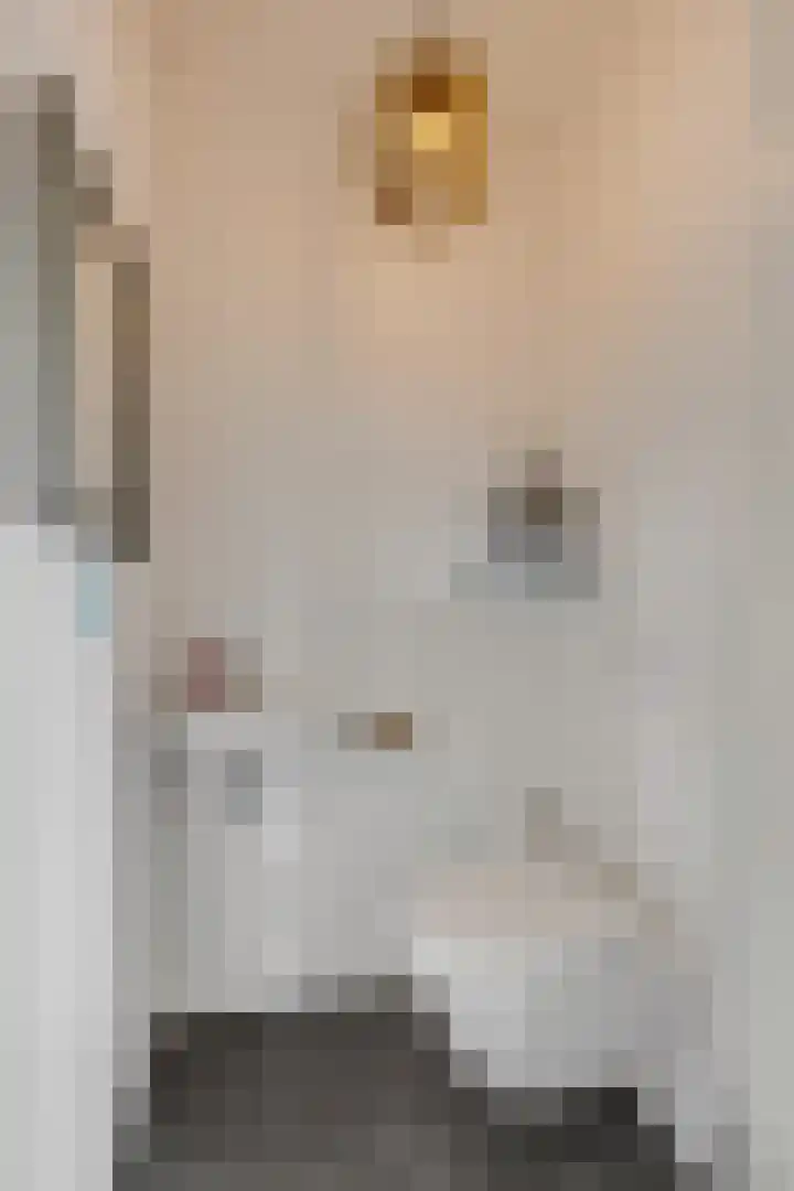 Henk Wildenburglaan 19 Ede thumbnail 22