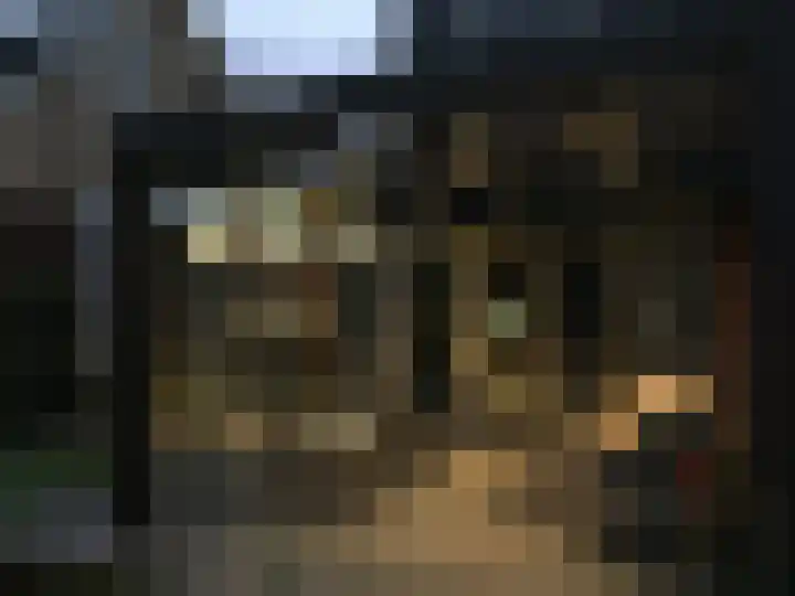 Henk Wildenburglaan 19 Ede thumbnail 51