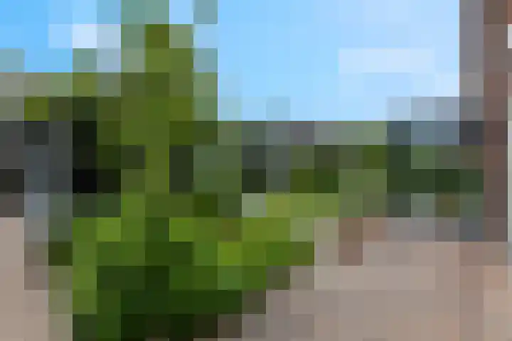 Henk Wildenburglaan 19 Ede thumbnail 61