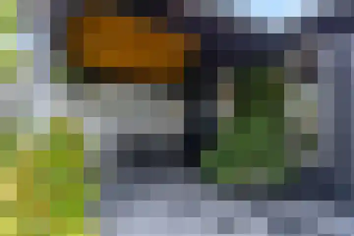 Henk Wildenburglaan 19 Ede thumbnail 62