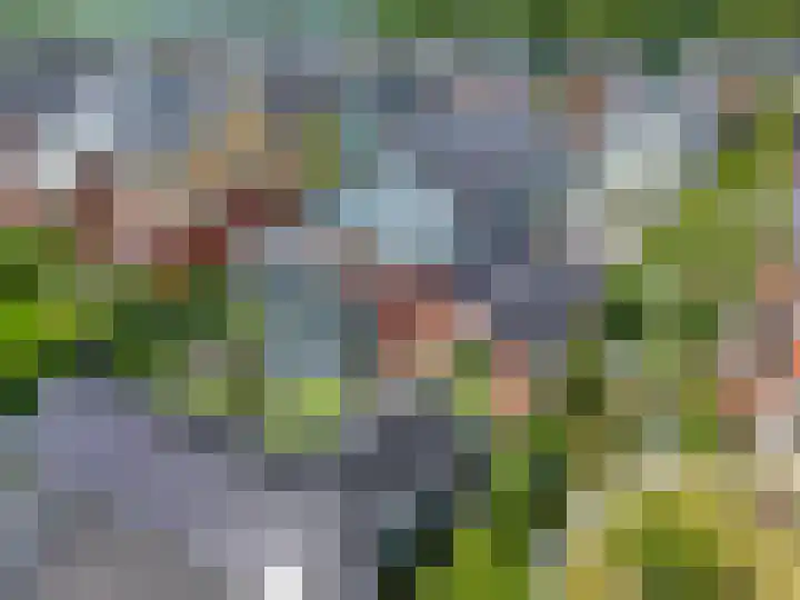Henk Wildenburglaan 19 Ede thumbnail 64