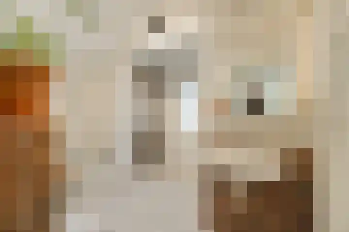 Henk Zonstraat 5 Rotterdam thumbnail 17