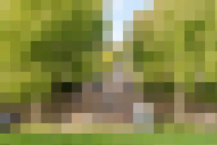 Henk Zonstraat 5 Rotterdam thumbnail 25