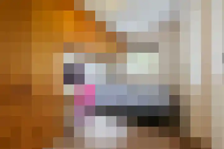 Henkenshage 1 A Amsterdam thumbnail 13