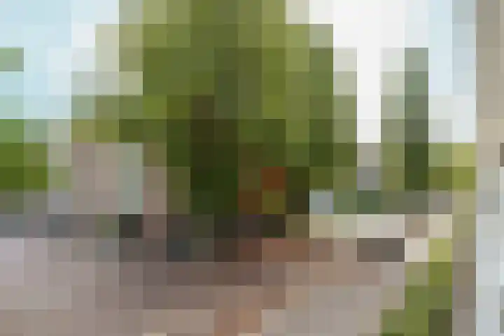 Henkenshage 1 A Amsterdam thumbnail 23