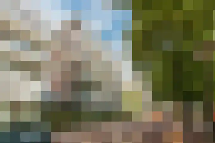 Henkenshage 1 A Amsterdam thumbnail 28