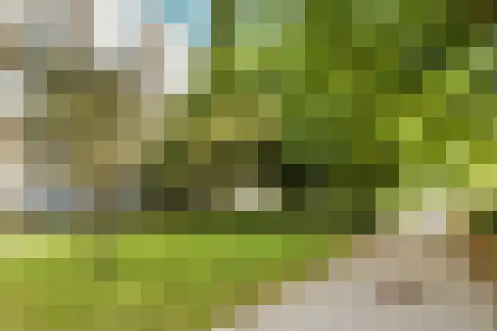 Henkenshage 1 A Amsterdam thumbnail 30