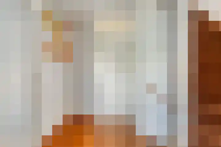 Henkenshage 18 's-Hertogenbosch thumbnail 13
