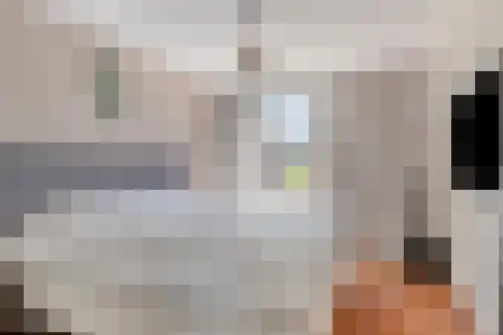 Henkenshage 18 's-Hertogenbosch thumbnail 14