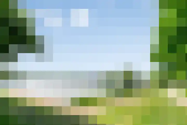 Henkenshage 18 's-Hertogenbosch thumbnail 25