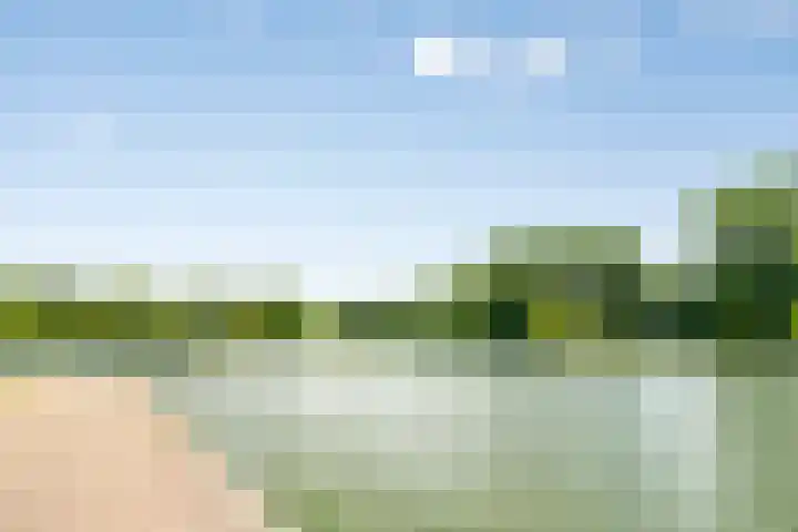 Henkenshage 18 's-Hertogenbosch thumbnail 26