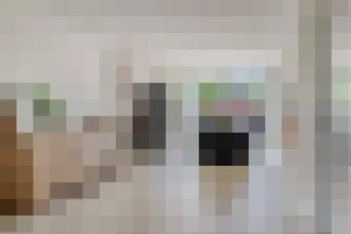 Henkenshage 18 's-Hertogenbosch thumbnail 7