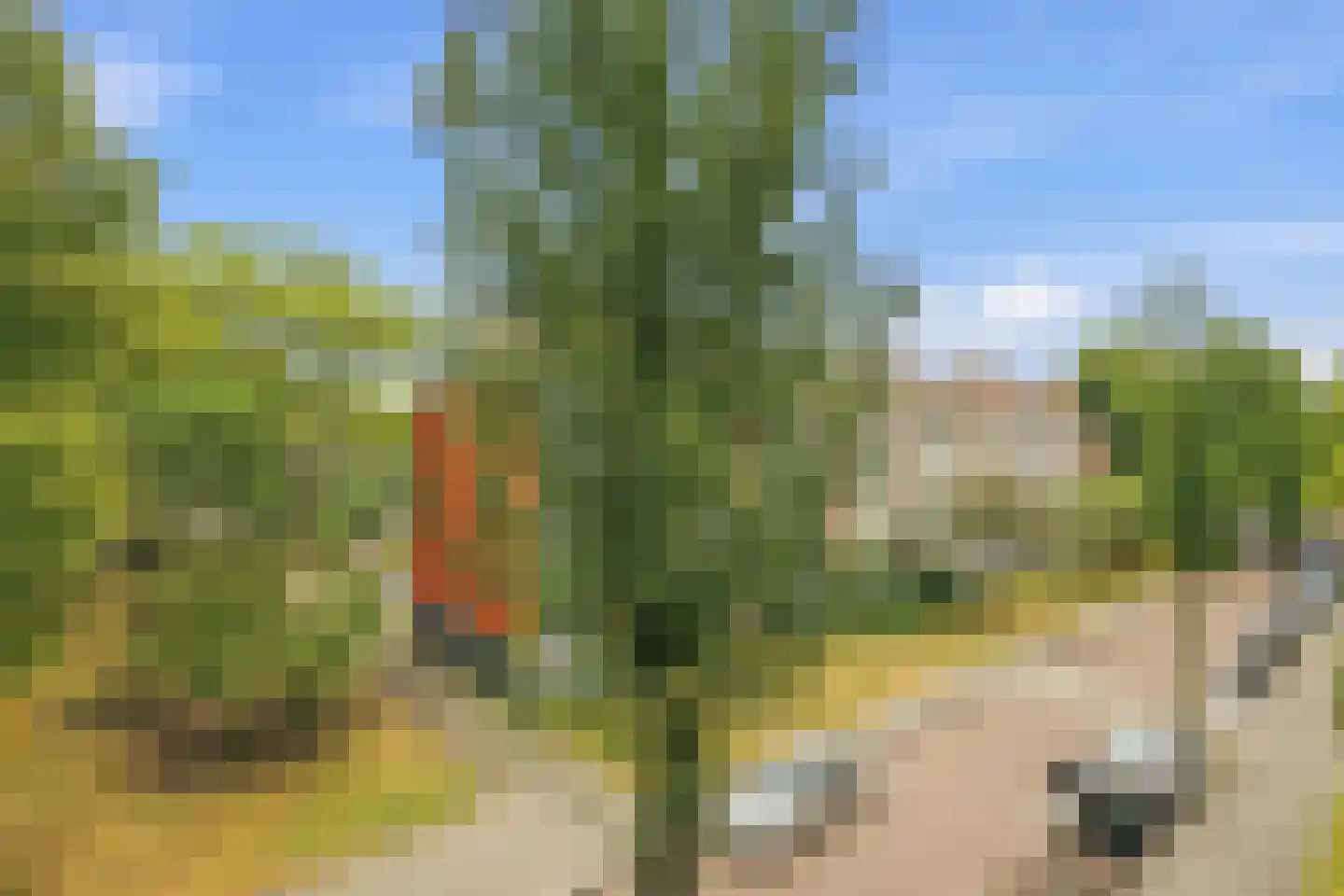Henkenshage 2 C Amsterdam thumbnail 10