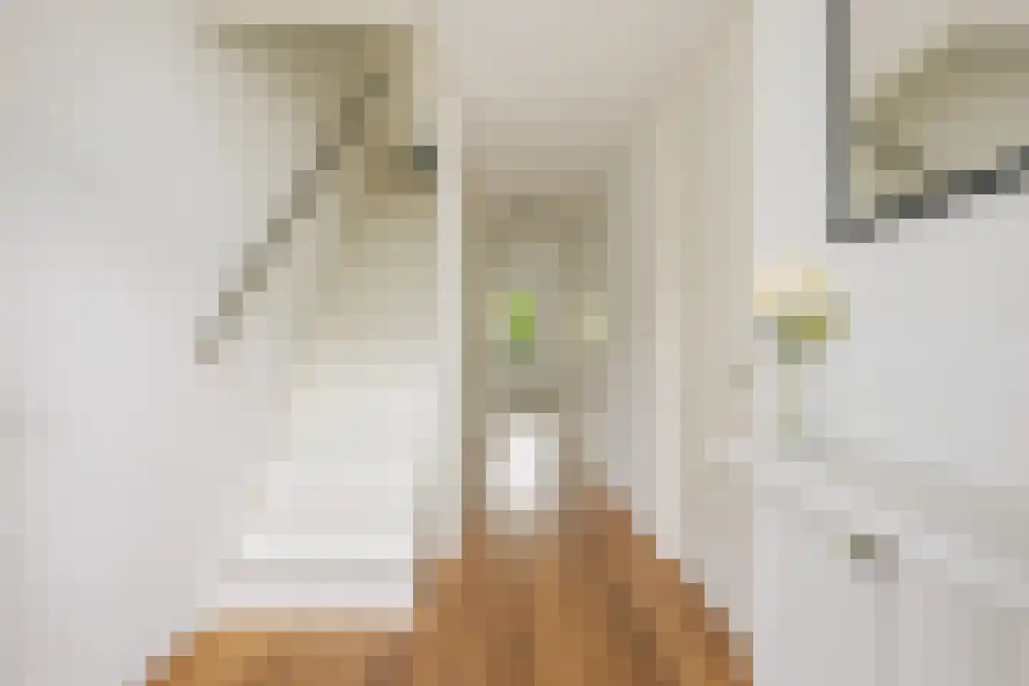 Henkenshage 2 C Amsterdam thumbnail 18
