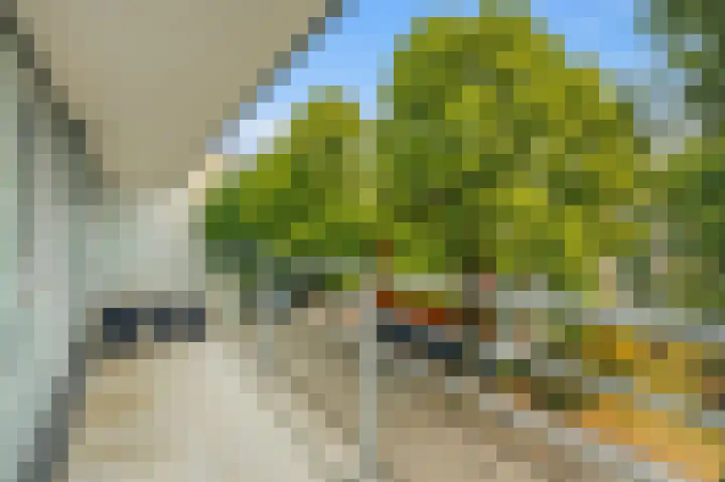 Henkenshage 2 C Amsterdam thumbnail 22