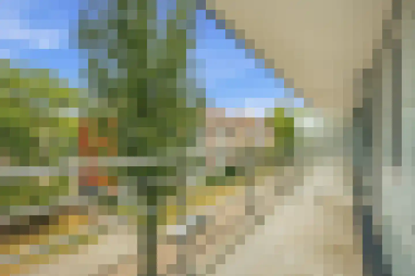 Henkenshage 2 C Amsterdam thumbnail 23