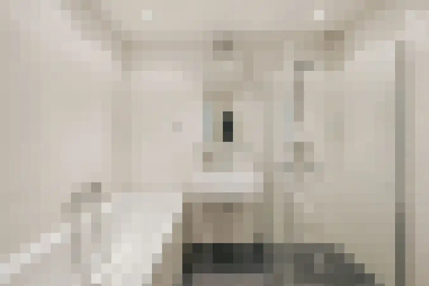 Henkenshage 2 C Amsterdam thumbnail 26