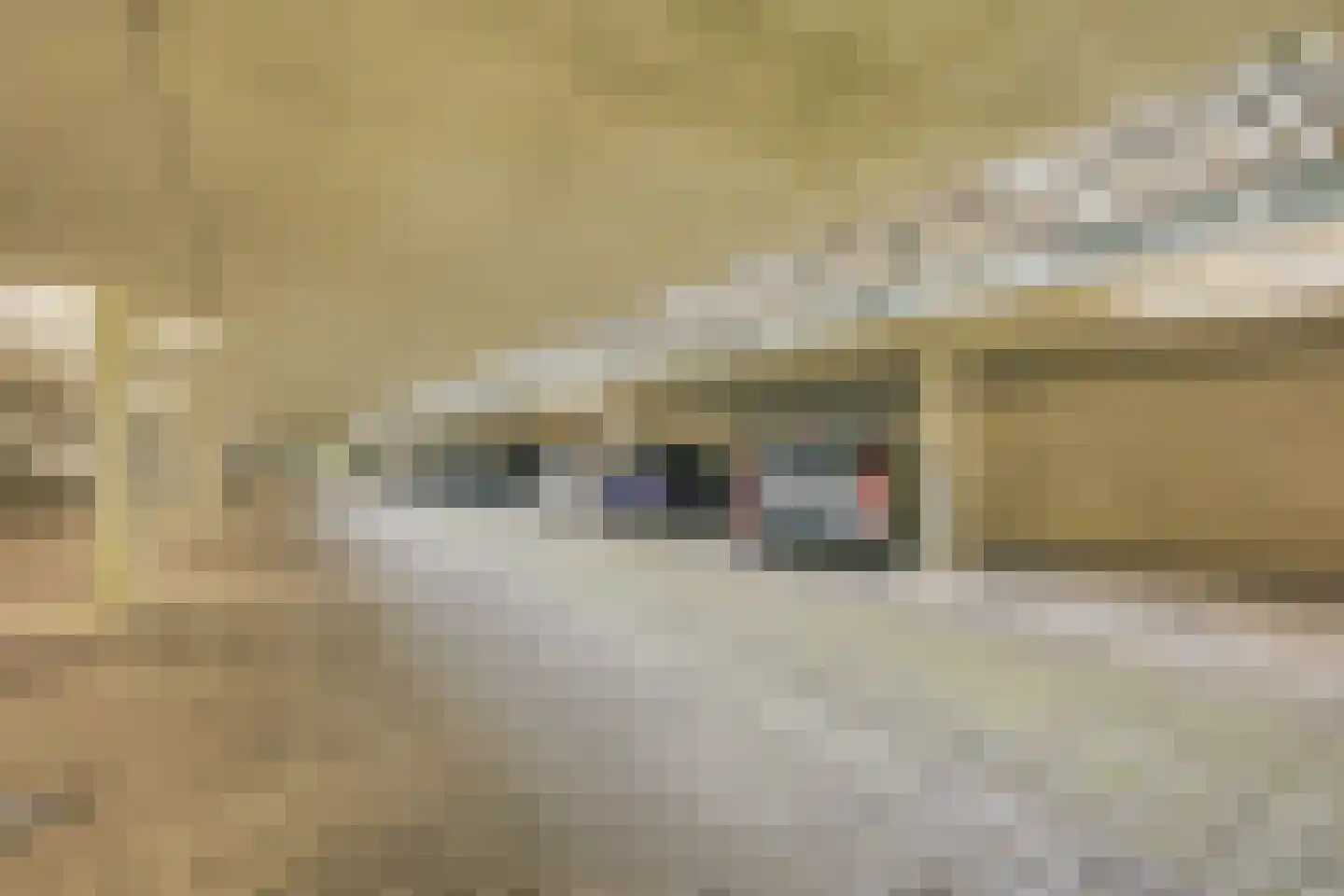 Henkenshage 2 C Amsterdam thumbnail 29