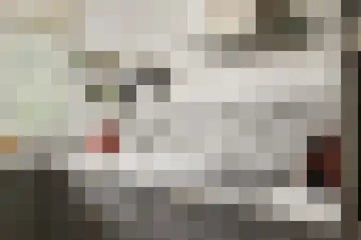 Henkenshage 21 Amsterdam thumbnail 10